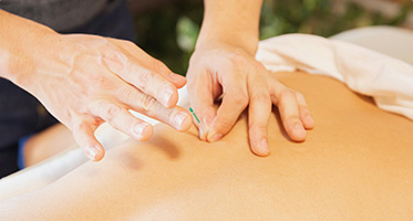 让细胞再现生机 从源头坐拥商机